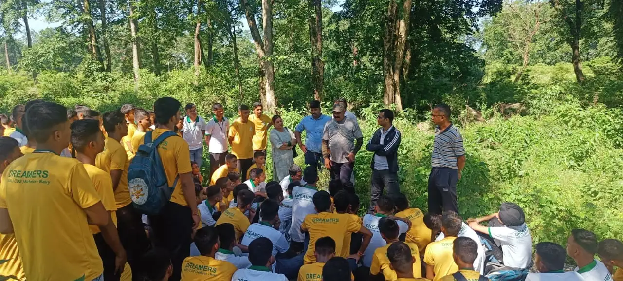 Plantation by Dreamers